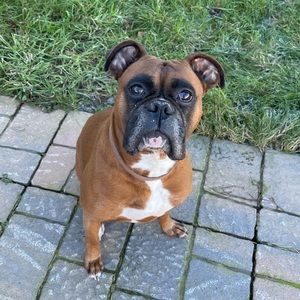 Meet your Posher, Isaac